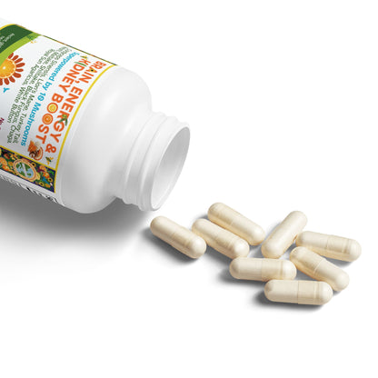 Brain, Energy & Kidney Boost, 10 Mushroom Vegan Supplement (60 Capsules)